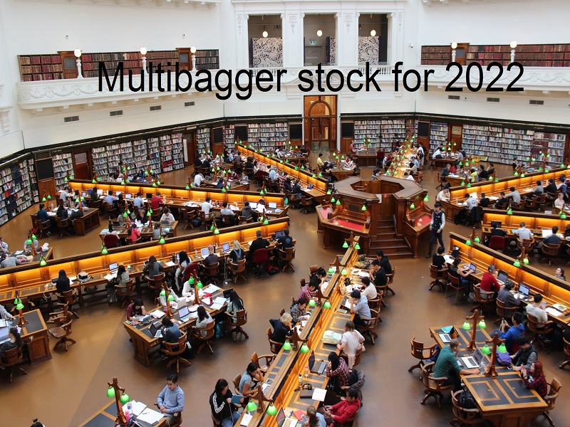 Multibagger stock for 2022